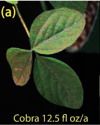 PesticidePlanningFigure 6.jpg